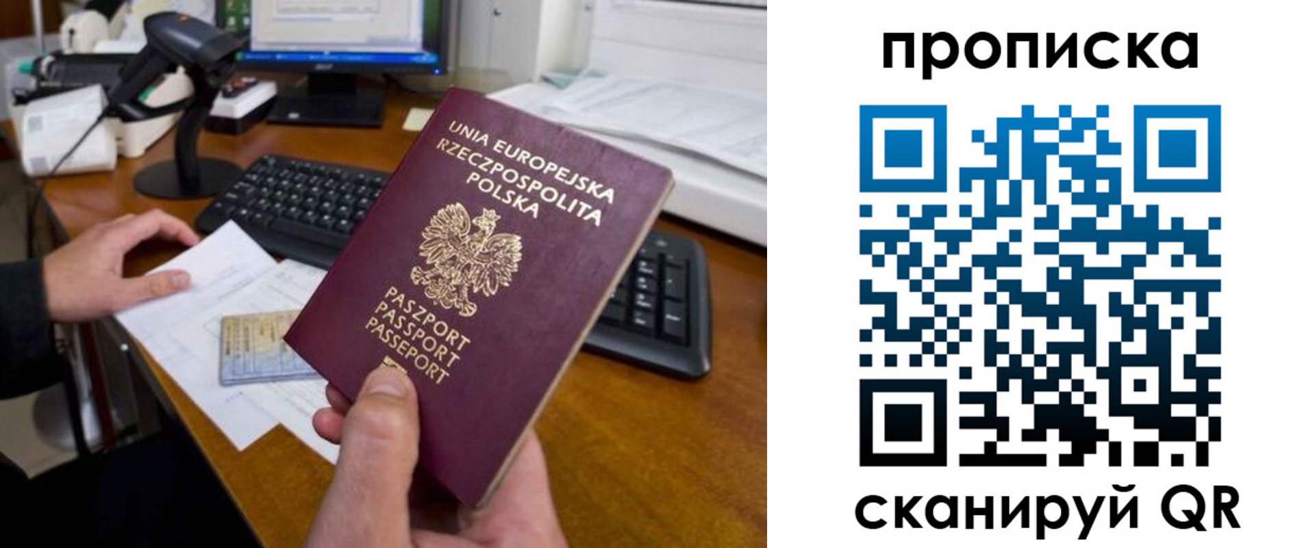 прописка для школы в Пересвете